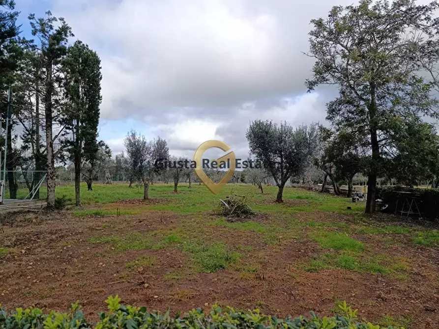 Immagine 23 di Terreno agricolo in vendita  in Contrada Santa Caterina sn a San Vito Dei Normanni