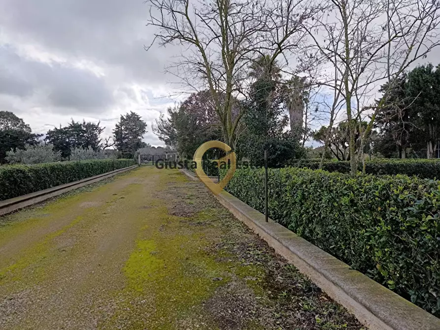 Immagine 25 di Terreno agricolo in vendita  in Contrada Santa Caterina sn a San Vito Dei Normanni