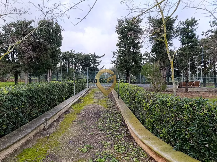 Immagine 26 di Terreno agricolo in vendita  in Contrada Santa Caterina sn a San Vito Dei Normanni