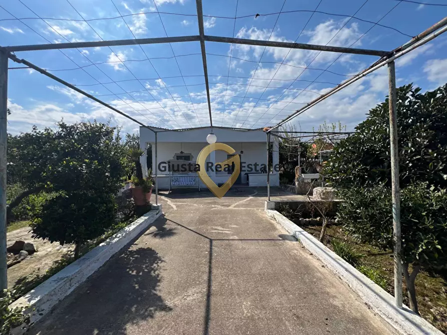 Immagine 4 di Villa in vendita  in Contrada Pacchiano-Capinere 850 a Mesagne