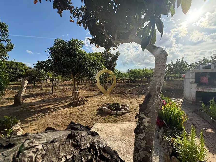 Immagine 7 di Villa in vendita  in Contrada Pacchiano-Capinere 850 a Mesagne