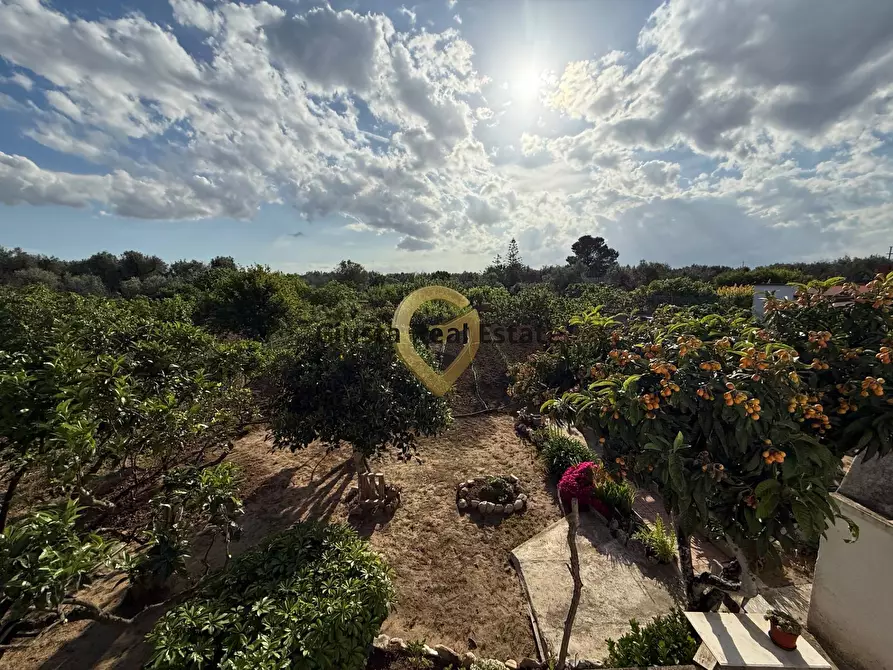 Immagine 11 di Villa in vendita  in Contrada Pacchiano-Capinere 850 a Mesagne