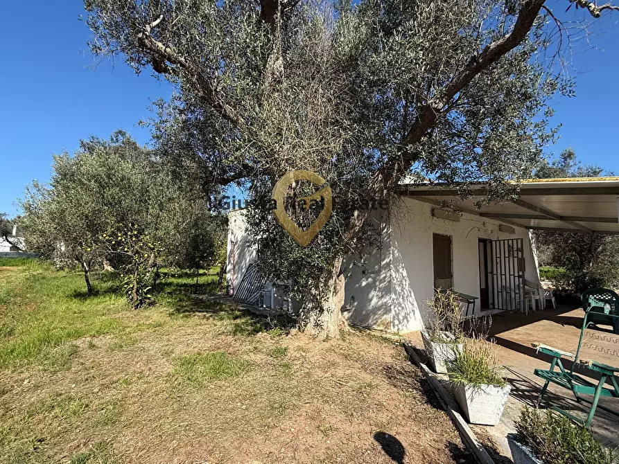 Immagine 3 di Villa in vendita  in Contrada Tanusci a Latiano