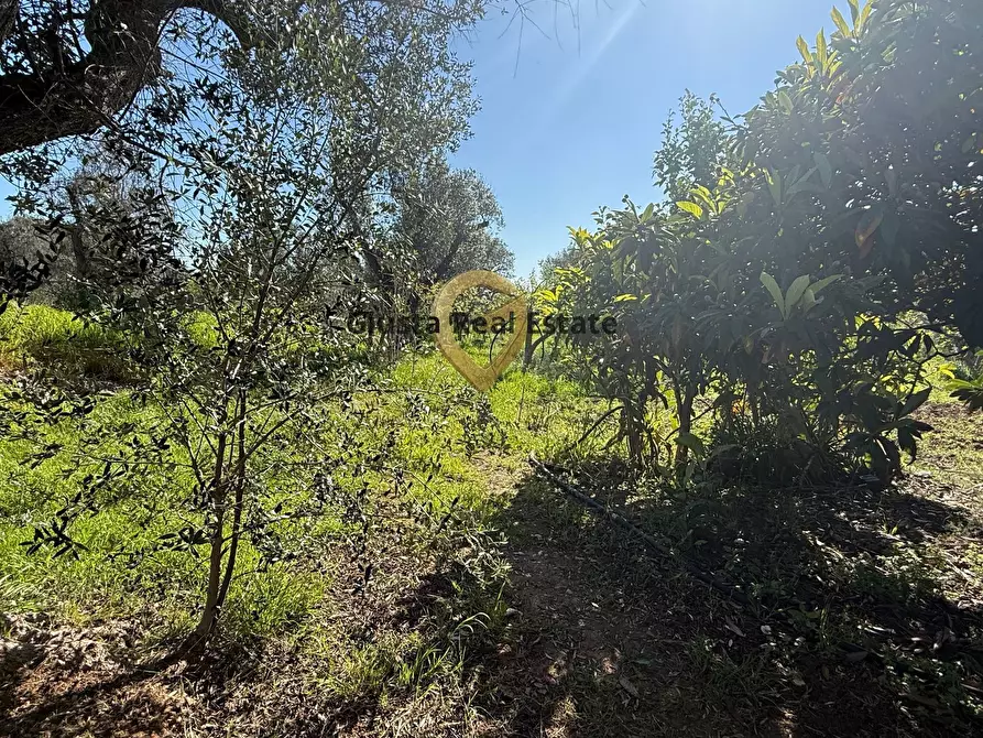 Immagine 8 di Villa in vendita  in Contrada Tanusci a Latiano