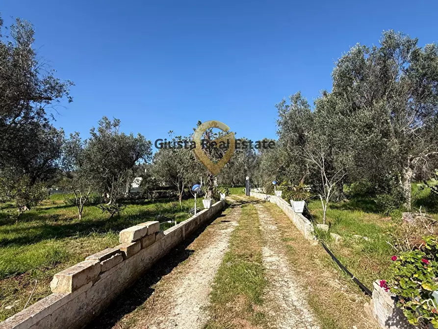Immagine 9 di Villa in vendita  in Contrada Tanusci a Latiano