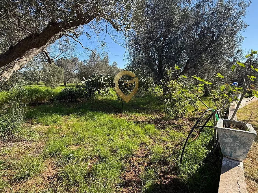 Immagine 10 di Villa in vendita  in Contrada Tanusci a Latiano