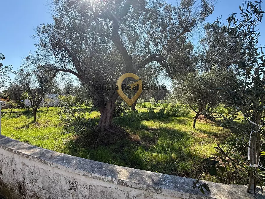 Immagine 12 di Villa in vendita  in Contrada Tanusci a Latiano