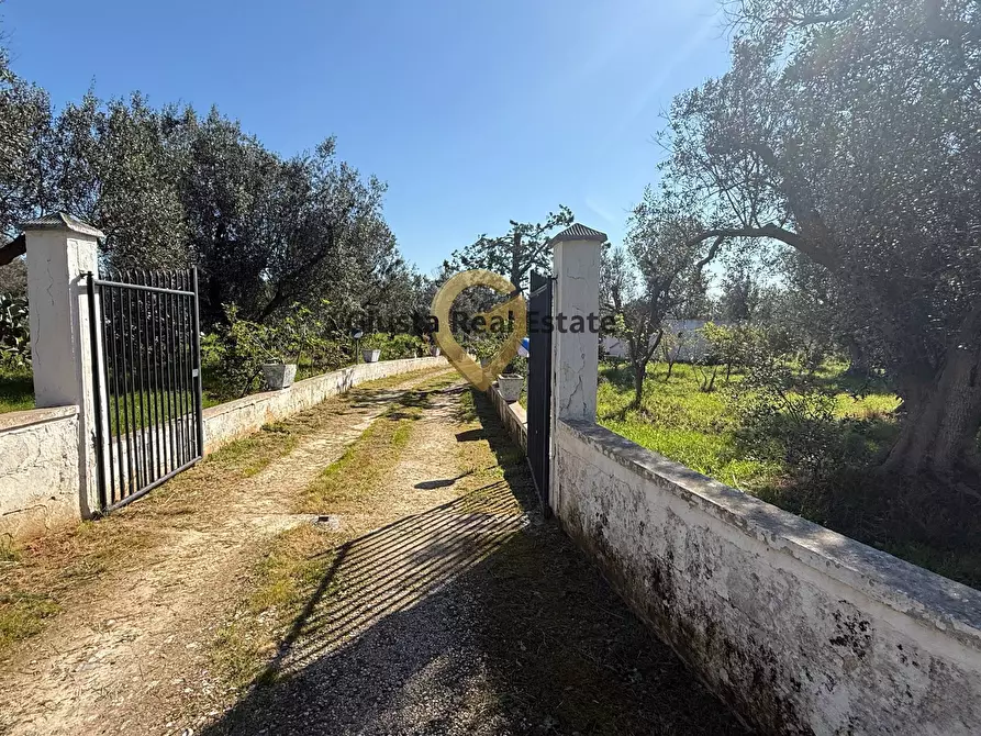 Immagine 13 di Villa in vendita  in Contrada Tanusci a Latiano