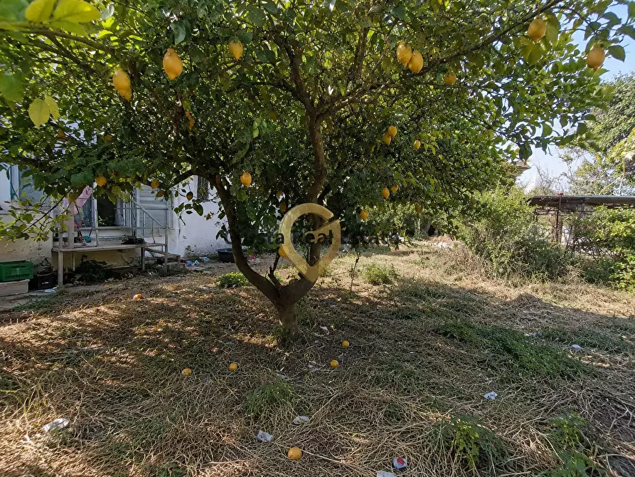 Immagine 21 di Villa in vendita  in Contrada Pappadà 43 a Oria