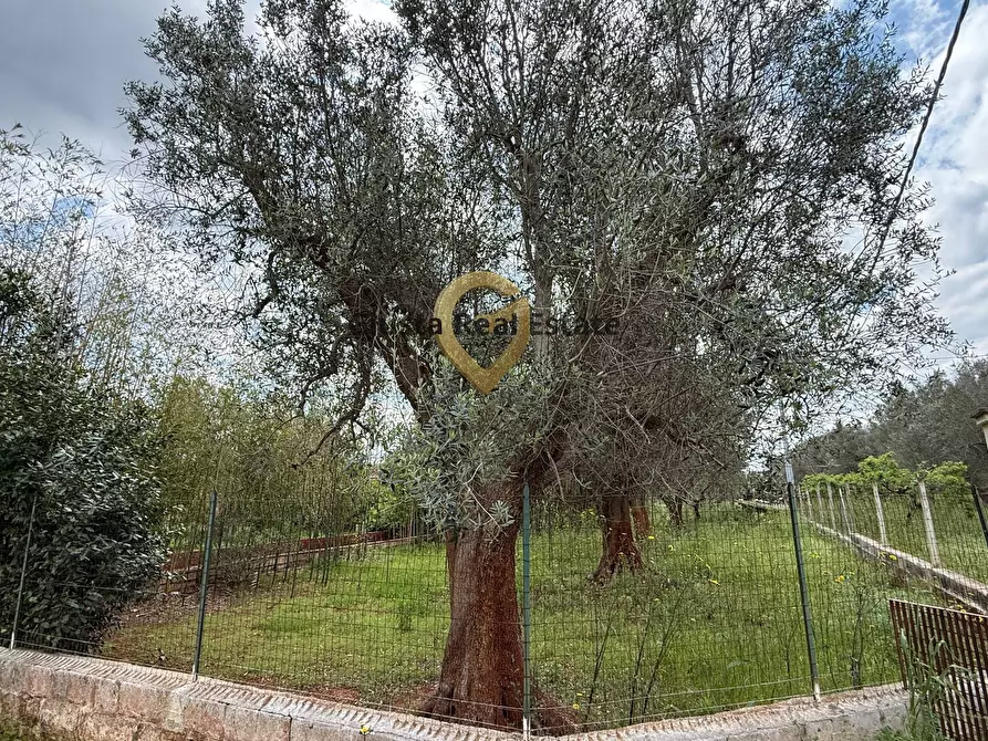 Immagine 4 di Villa in vendita  in Contrada Specchia a Latiano
