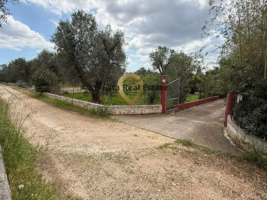 Immagine 5 di Villa in vendita  in Contrada Specchia a Latiano