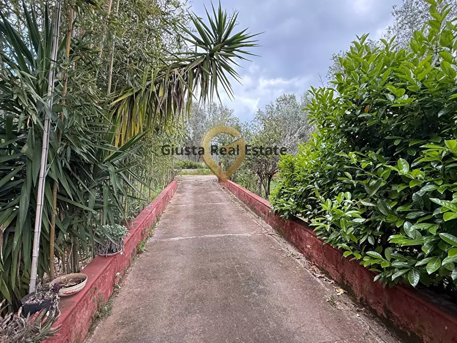 Immagine 3 di Villa in vendita  in Contrada Specchia a Latiano