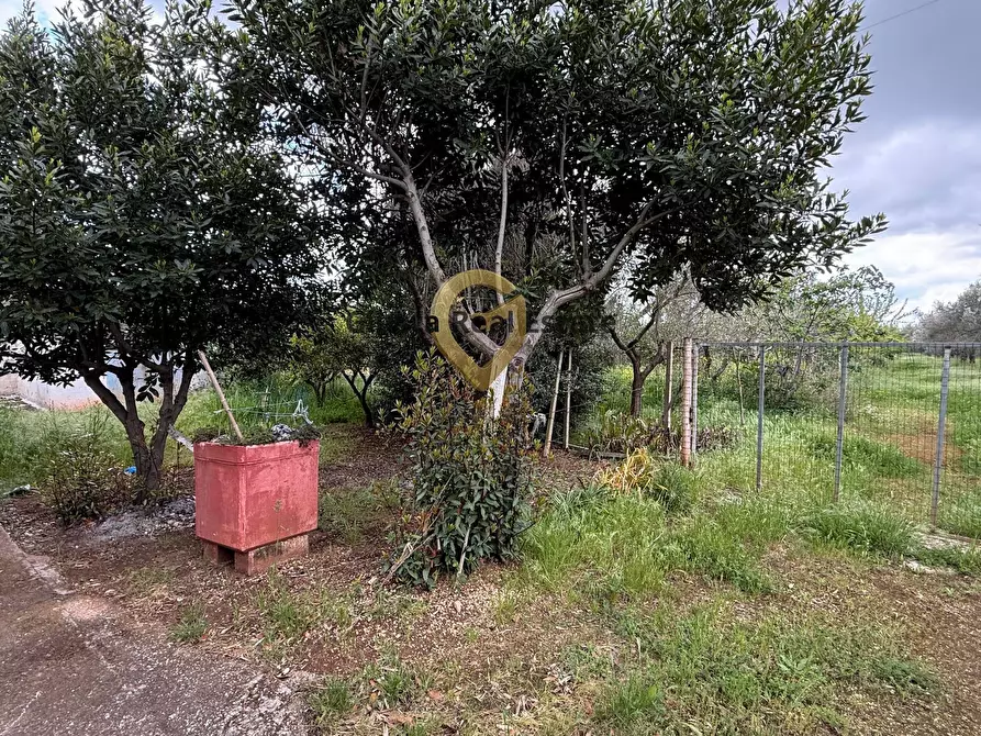 Immagine 10 di Villa in vendita  in Contrada Specchia a Latiano