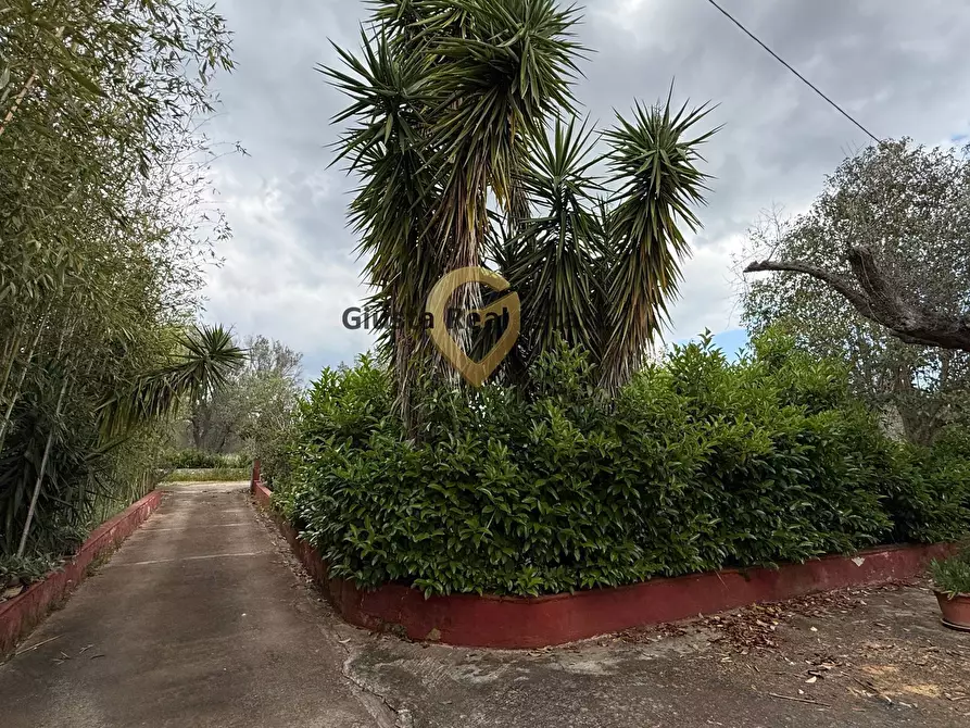 Immagine 11 di Villa in vendita  in Contrada Specchia a Latiano