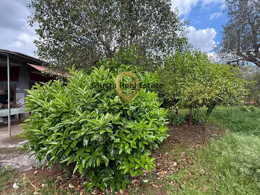 Immagine 16 di Villa in vendita  in Contrada Specchia a Latiano