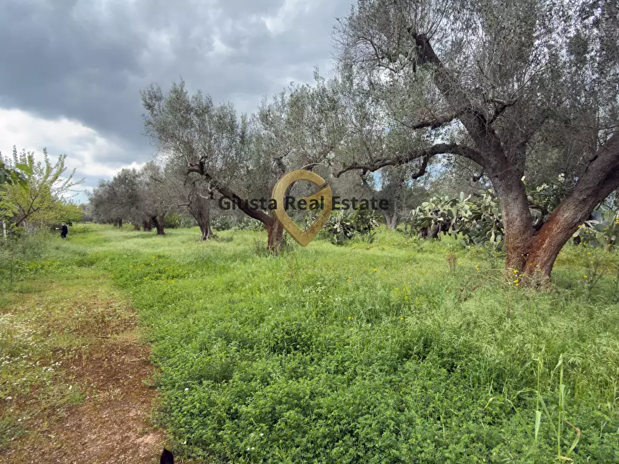 Immagine 19 di Villa in vendita  in Contrada Specchia a Latiano
