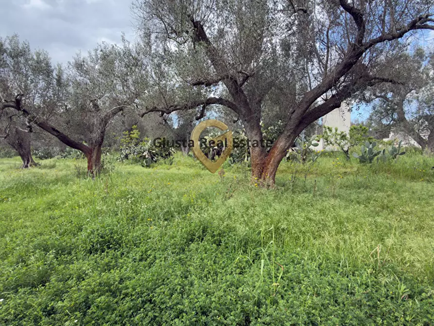 Immagine 21 di Villa in vendita  in Contrada Specchia a Latiano