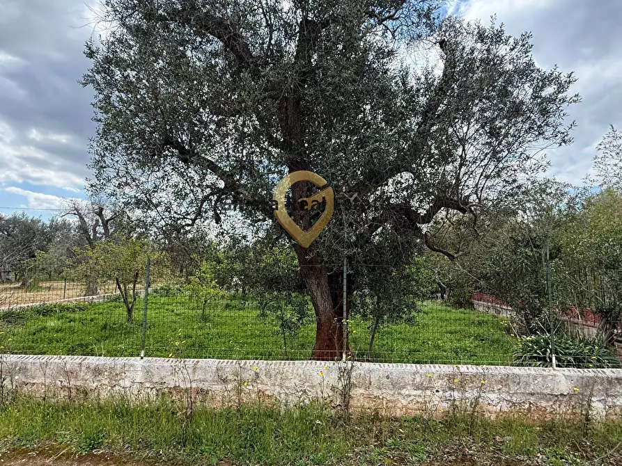Immagine 23 di Villa in vendita  in Contrada Specchia a Latiano