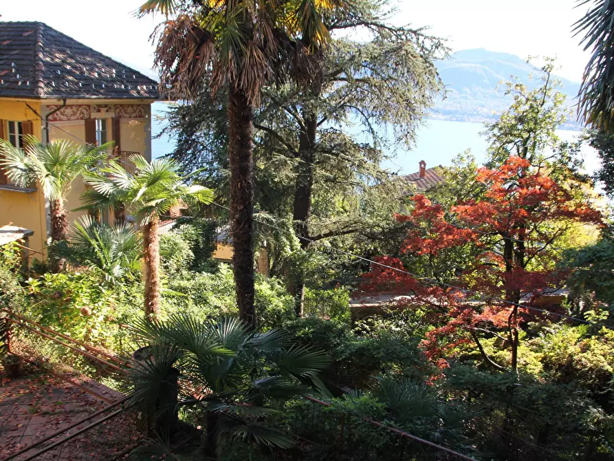 Immagine 12 di Villa in vendita  in Via Manzi 42 a Oggebbio