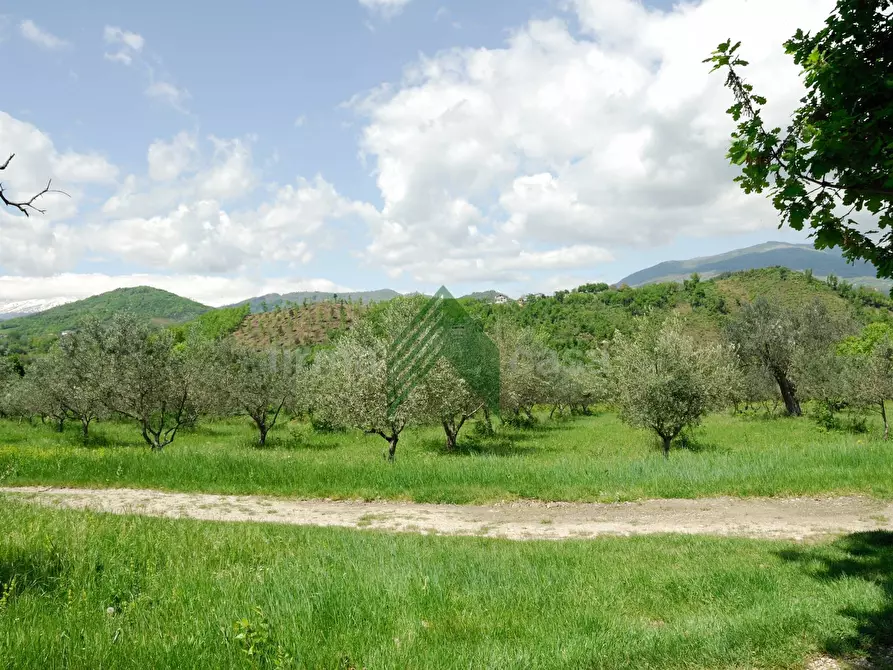Immagine 57 di Villa in vendita  a Teramo