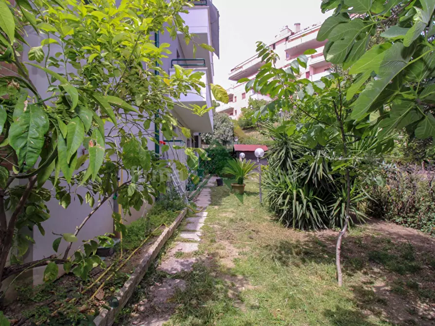 Immagine 13 di Appartamento in vendita  in via Flaiani 14 a Teramo