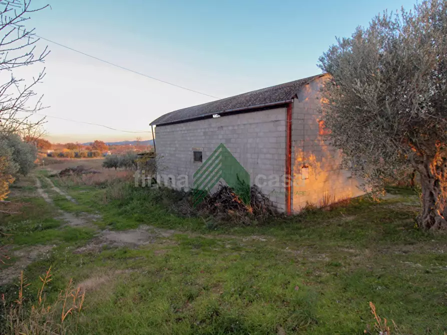 Immagine 2 di Laboratorio in vendita  in Via Nazionalw a Bellante