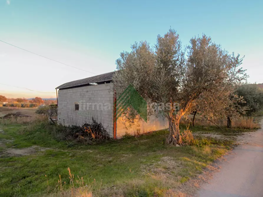 Immagine 3 di Laboratorio in vendita  in Via Nazionalw a Bellante