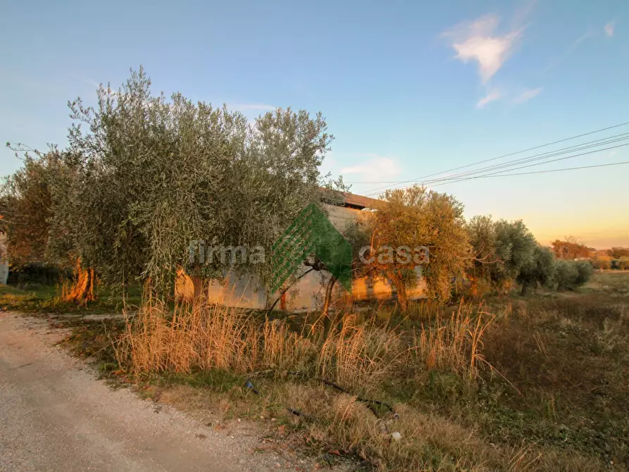 Immagine 5 di Laboratorio in vendita  in Via Nazionalw a Bellante