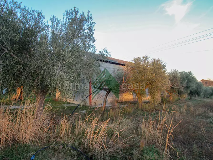 Immagine 6 di Laboratorio in vendita  in Via Nazionalw a Bellante