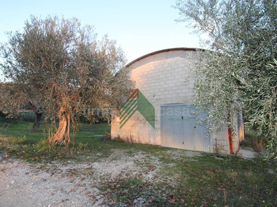 Immagine 7 di Laboratorio in vendita  in Via Nazionalw a Bellante