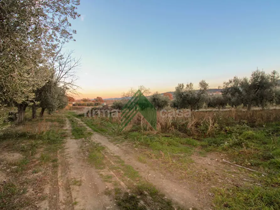 Immagine 9 di Laboratorio in vendita  in Via Nazionalw a Bellante