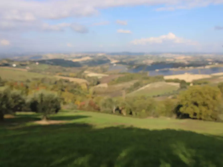 Immagine 3 di Terreno agricolo in vendita  a Bellante