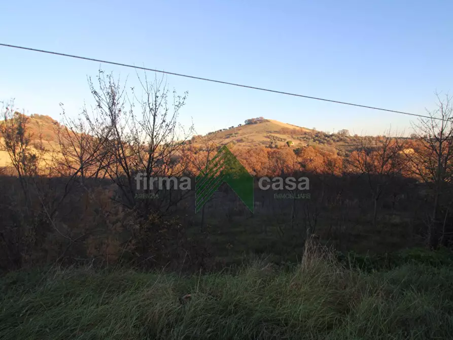 Immagine 1 di Terreno agricolo in vendita  a Bellante