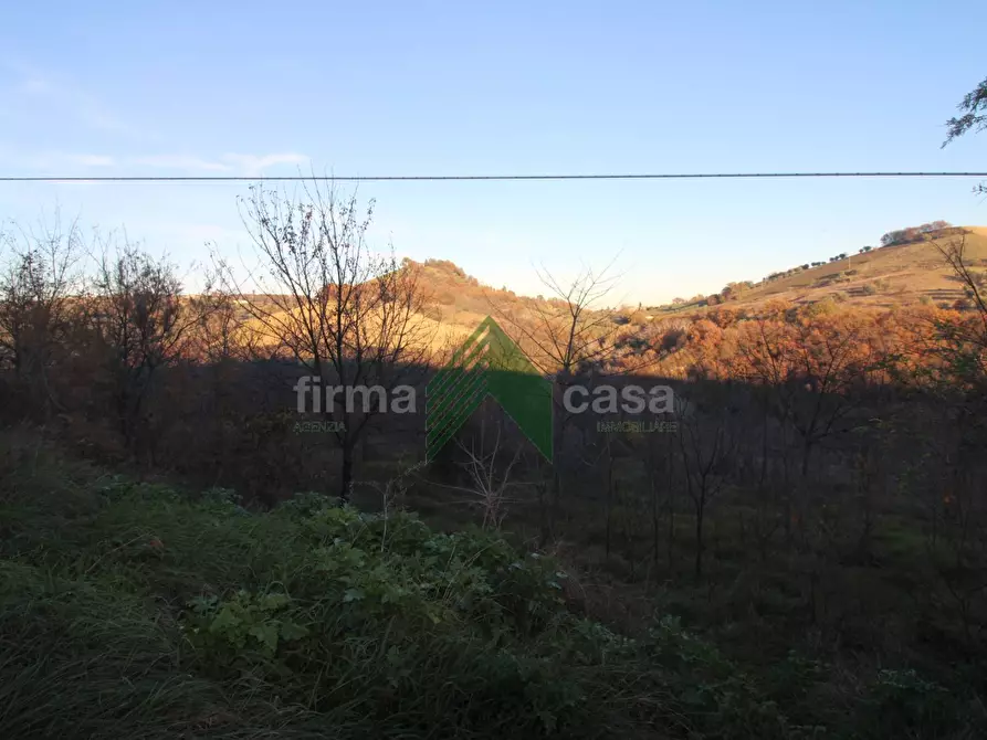 Immagine 2 di Terreno agricolo in vendita  a Bellante