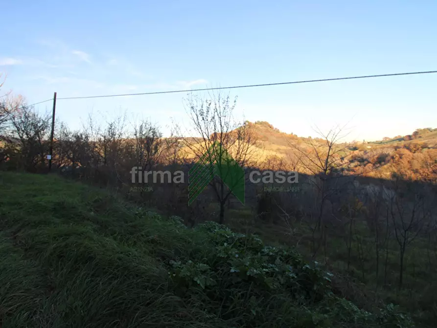 Immagine 3 di Terreno agricolo in vendita  a Bellante