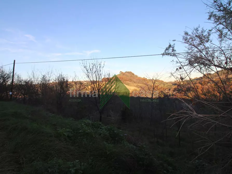 Immagine 4 di Terreno agricolo in vendita  a Bellante