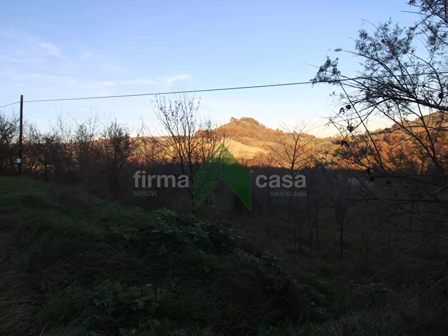 Immagine 5 di Terreno agricolo in vendita  a Bellante