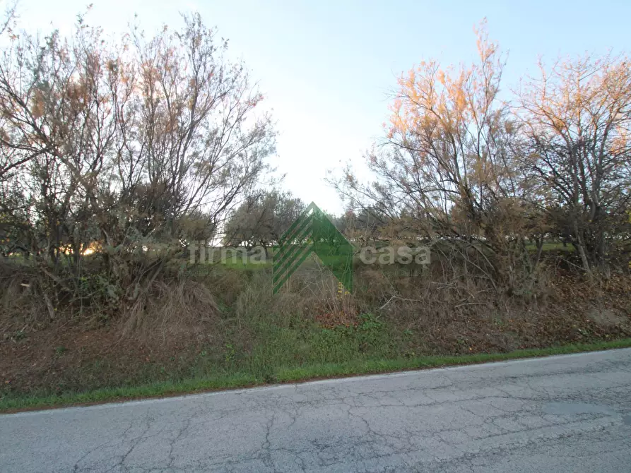 Immagine 6 di Terreno agricolo in vendita  a Bellante