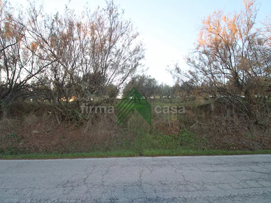 Immagine 7 di Terreno agricolo in vendita  a Bellante