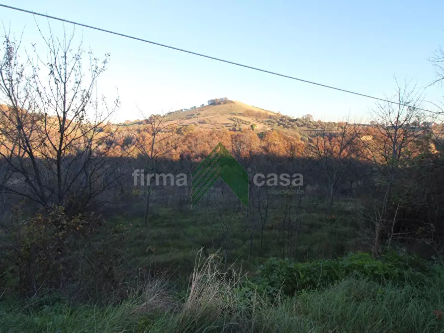 Immagine 17 di Terreno agricolo in vendita  a Bellante