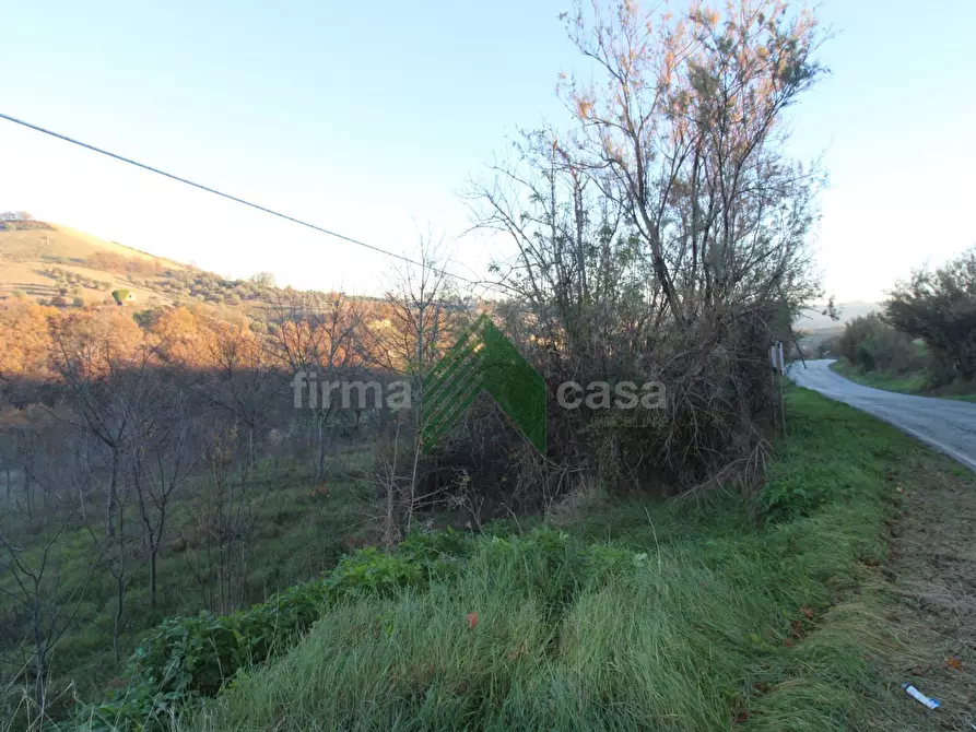 Immagine 18 di Terreno agricolo in vendita  a Bellante