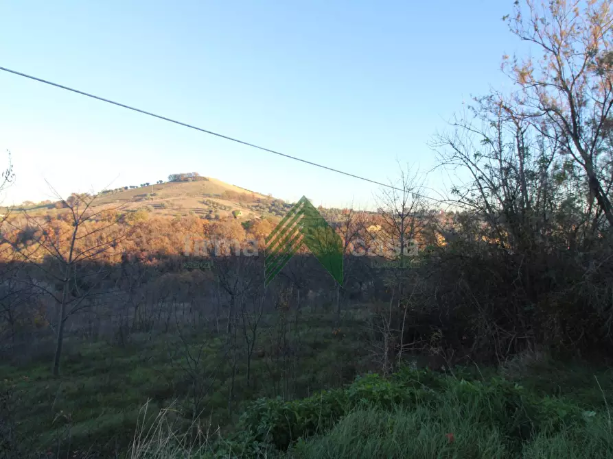 Immagine 19 di Terreno agricolo in vendita  a Bellante