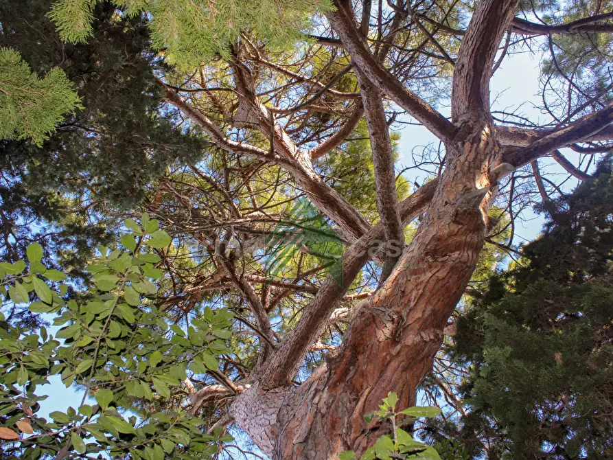 Immagine 16 di Villa in vendita  in VIA GRAMSCI 57 a Giulianova