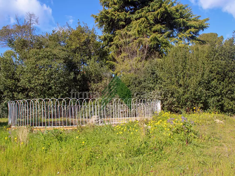 Immagine 19 di Villa in vendita  in VIA GRAMSCI 57 a Giulianova