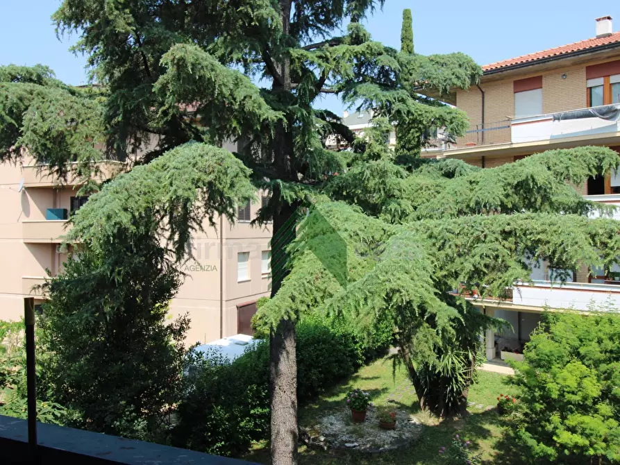 Immagine 22 di Appartamento in vendita  in via San Marino 13 a Teramo