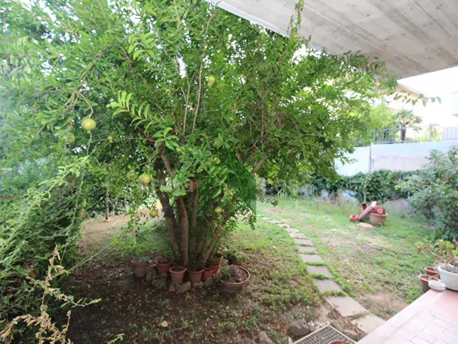 Immagine 18 di Appartamento in vendita  in via Raffaele Aurini 1 a Teramo