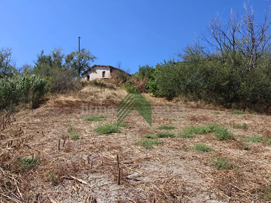 Immagine 7 di Rustico / casale in vendita  in Contrada San Martino a Teramo