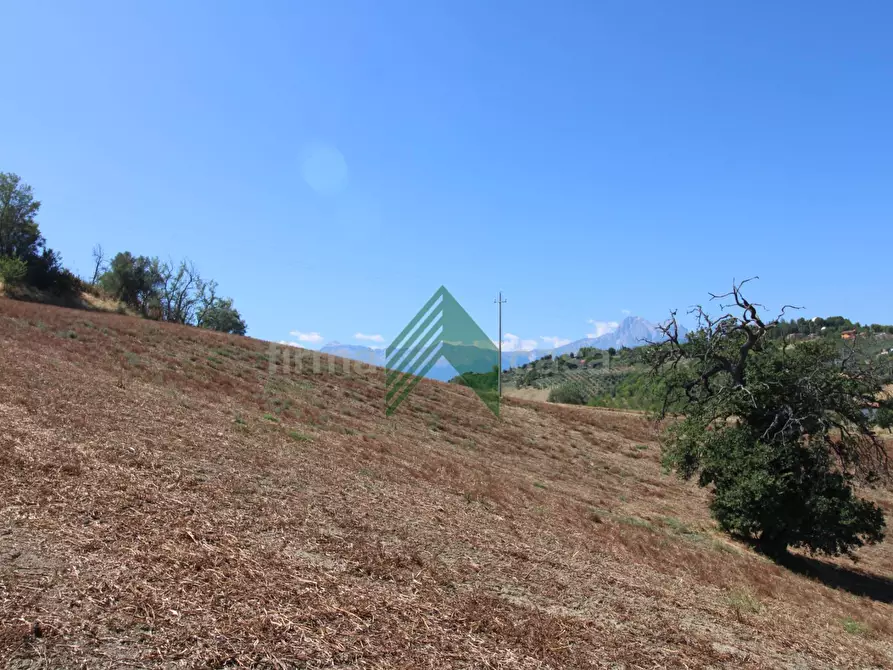 Immagine 8 di Rustico / casale in vendita  in Contrada San Martino a Teramo