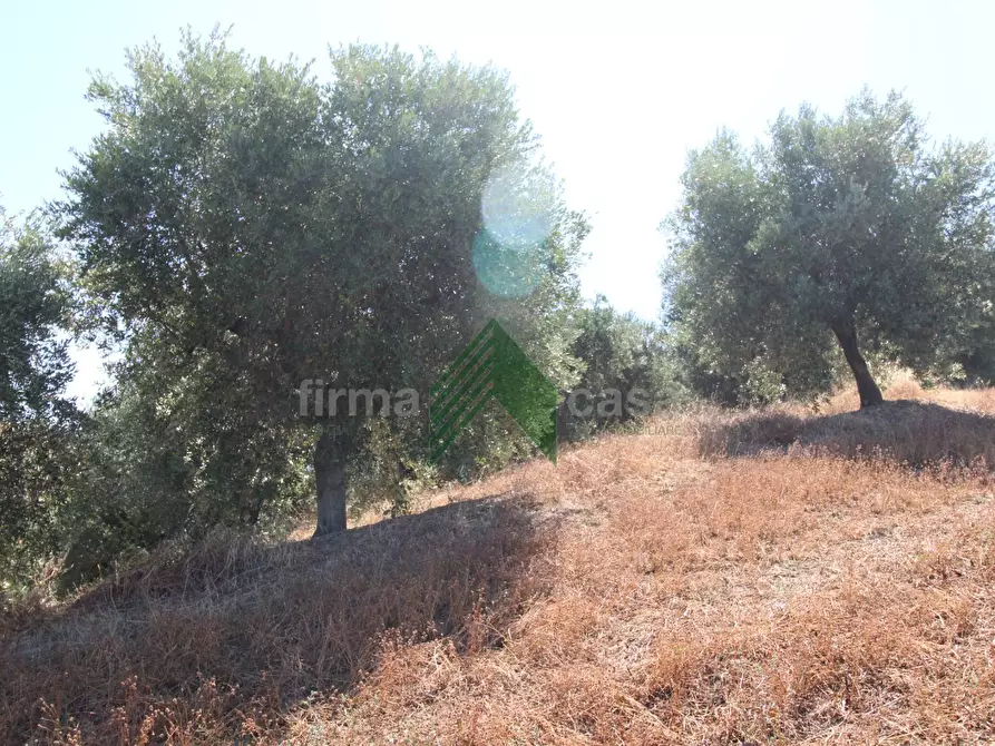 Immagine 12 di Rustico / casale in vendita  in Contrada San Martino a Teramo