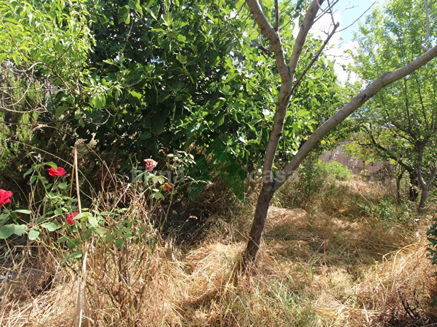 Immagine 39 di Appartamento in vendita  in via Scalepicchio 24 a Teramo